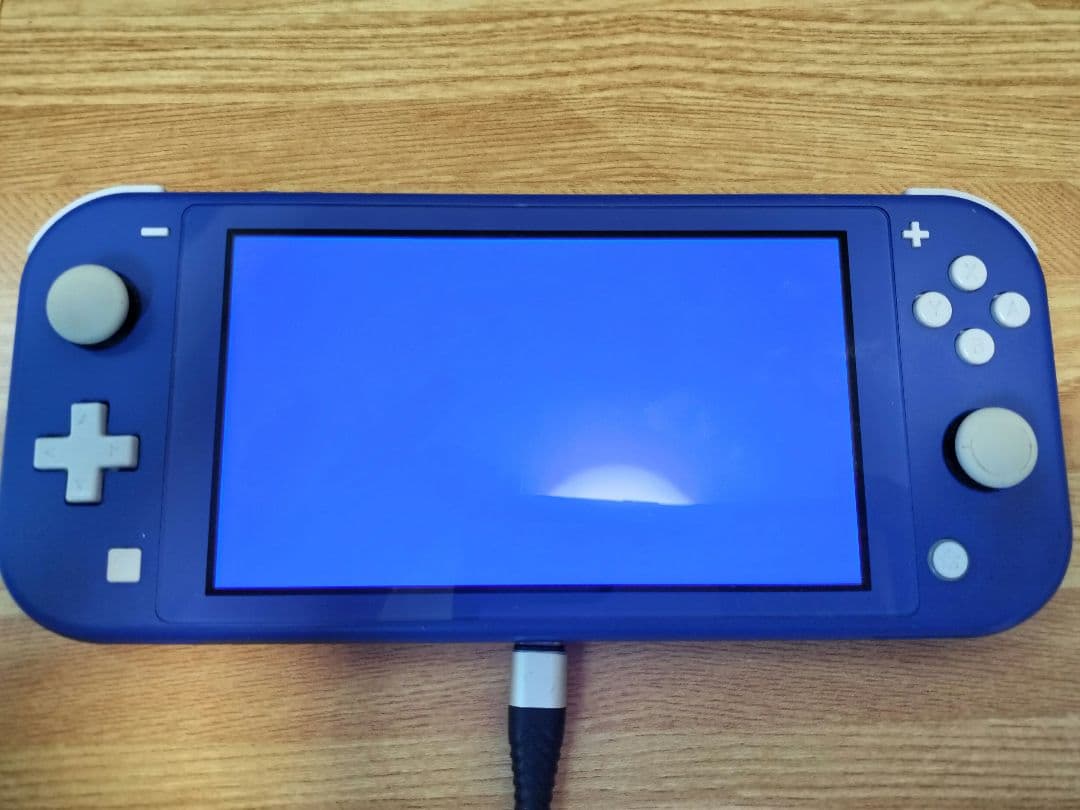 レ*c様 Nintendo Switch Lite ブルー ジャンク