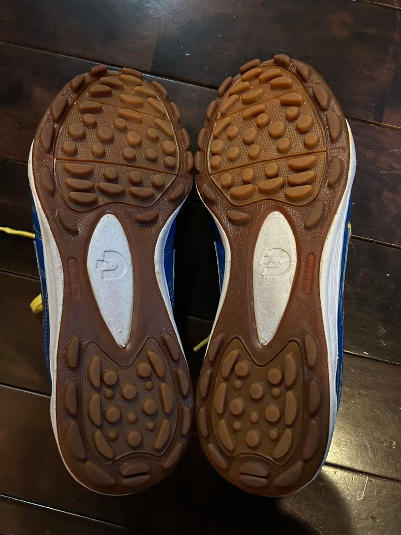 ルースイソンブラ × デスポルチ × RODA ターフ