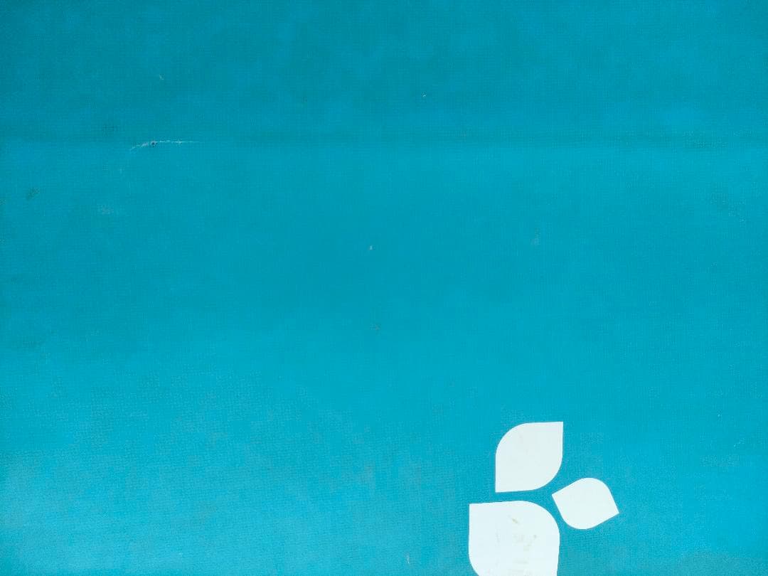 スリーウェザー　フロウ　ロングボード　9’2