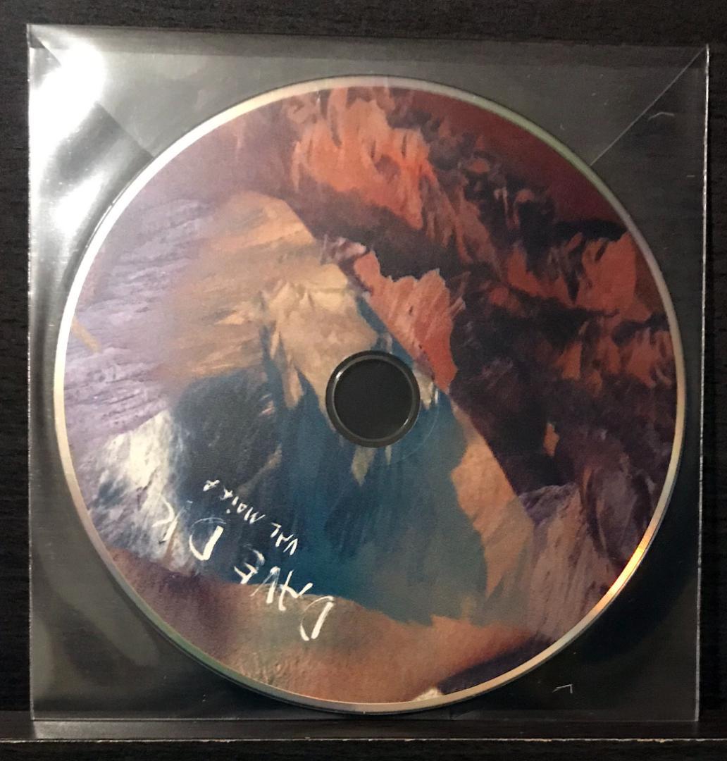 Dave DK 2LP+CD+12inch Ambient テクノ