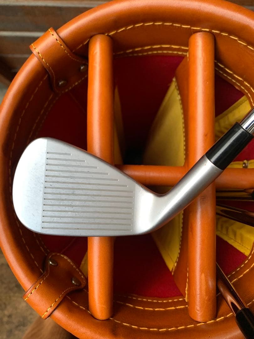 TaylorMade P790 アイアン 6i-Pw & MG2 MG3