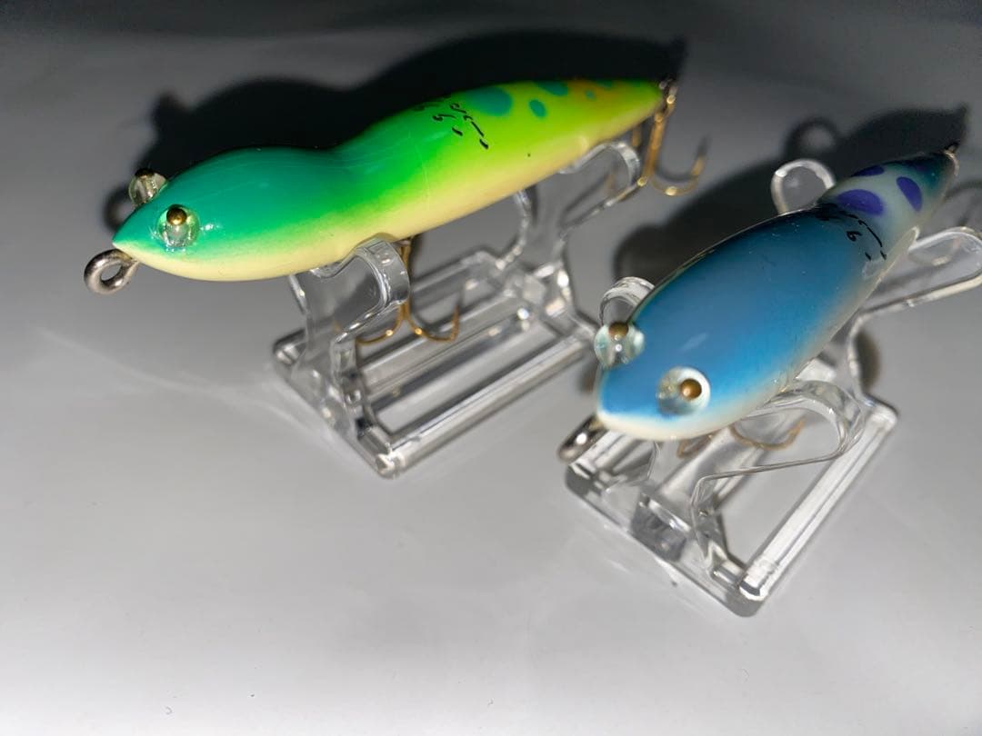 ハトリーズ　スペシャル　マダガスカル　トカゲ　オス　メス　ペア　セット