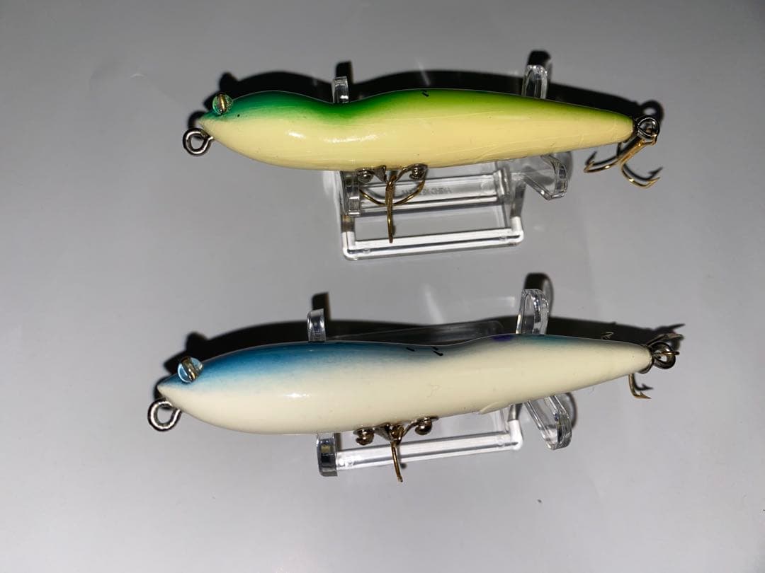 ハトリーズ　スペシャル　マダガスカル　トカゲ　オス　メス　ペア　セット