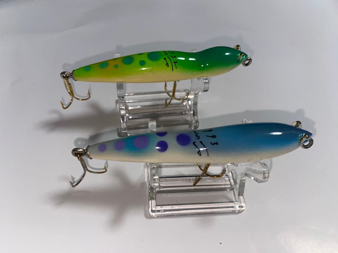 ハトリーズ　スペシャル　マダガスカル　トカゲ　オス　メス　ペア　セット