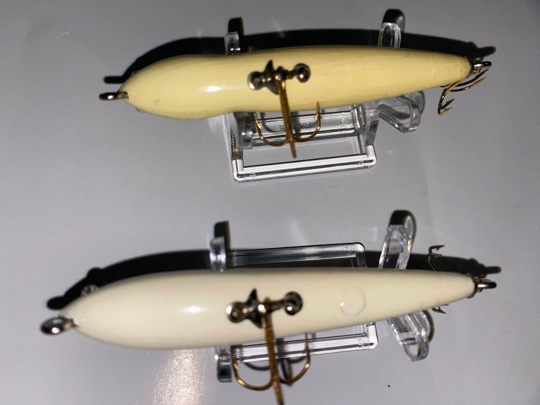 ハトリーズ　スペシャル　マダガスカル　トカゲ　オス　メス　ペア　セット