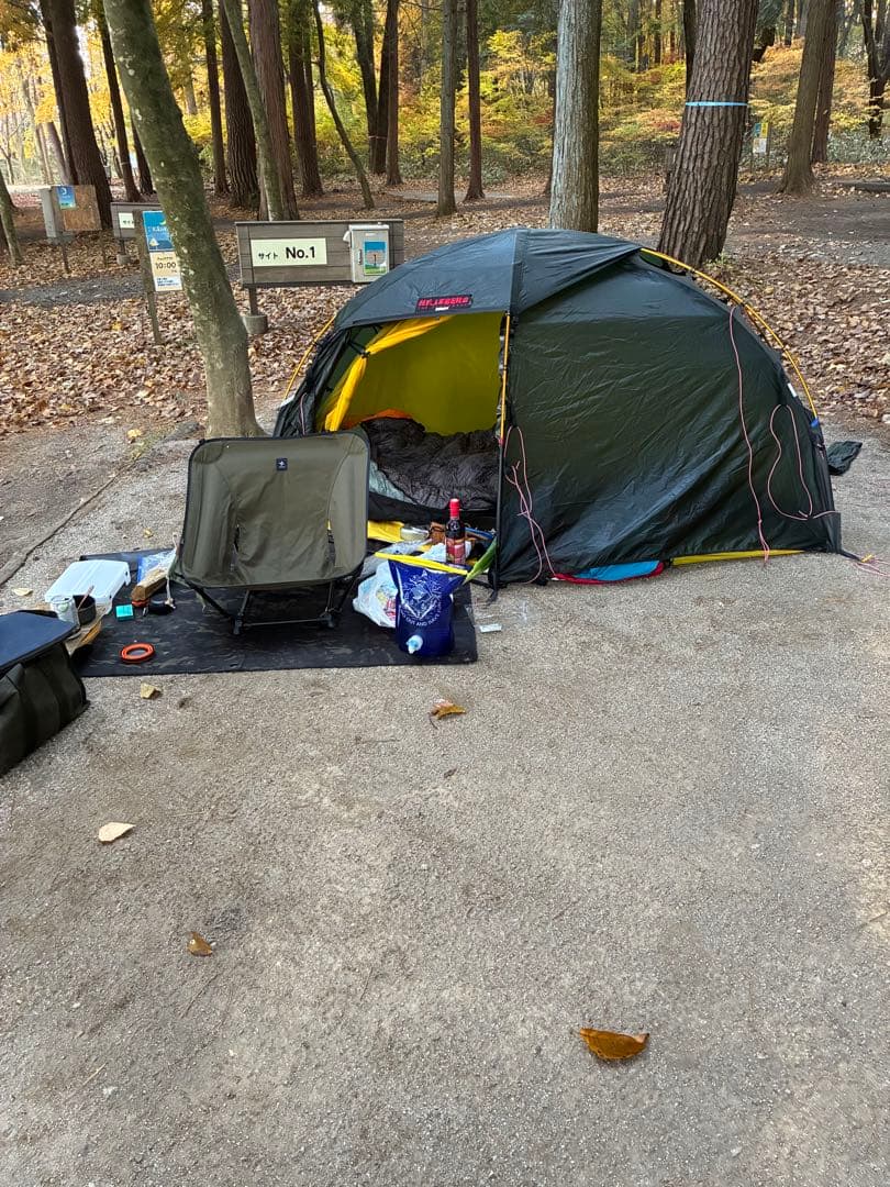 ヒルバーグ　ソウロ　グリーン　RL