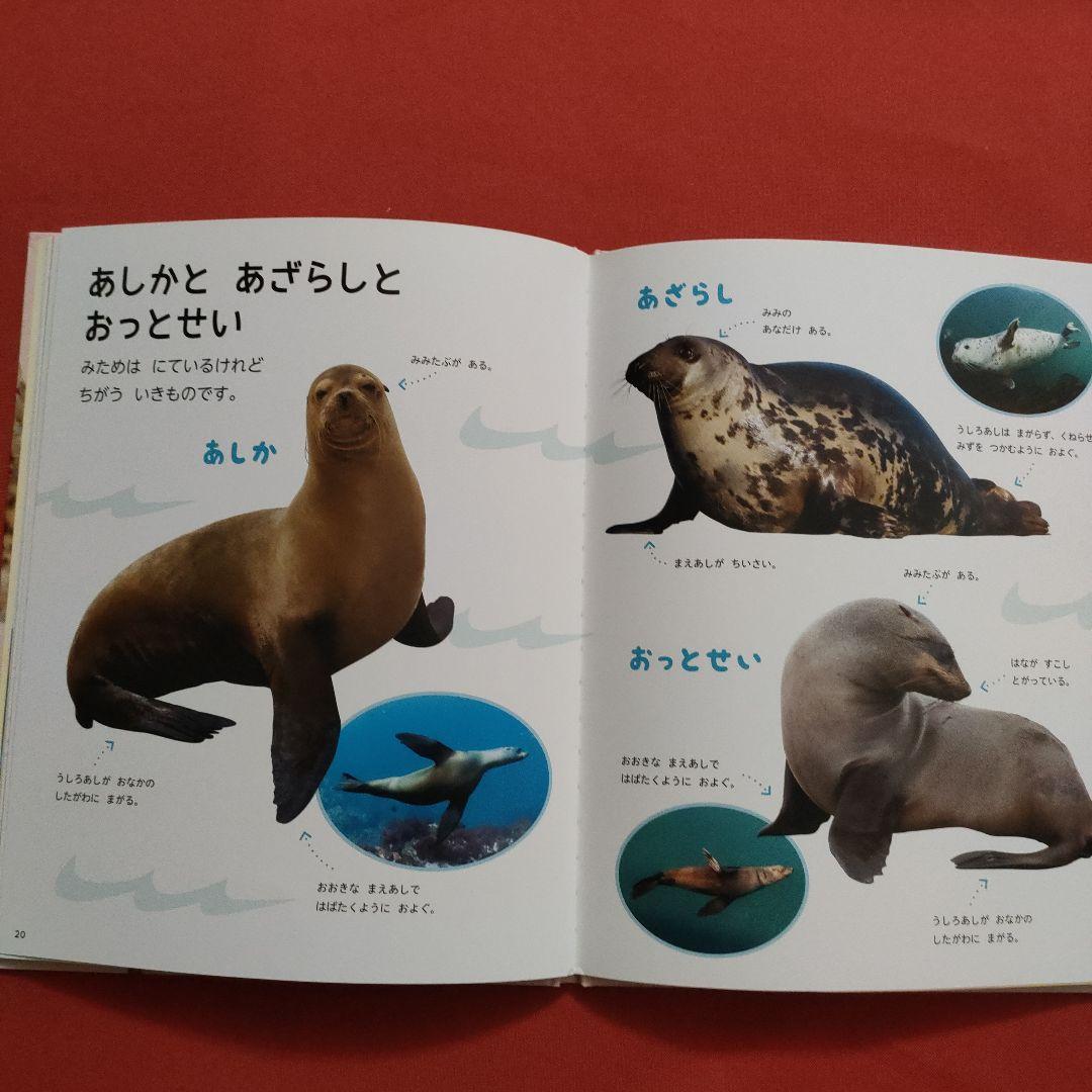 たくさんのふしぎ　キンダーブックしぜん　似たもの動物園　いきものくらべっこ