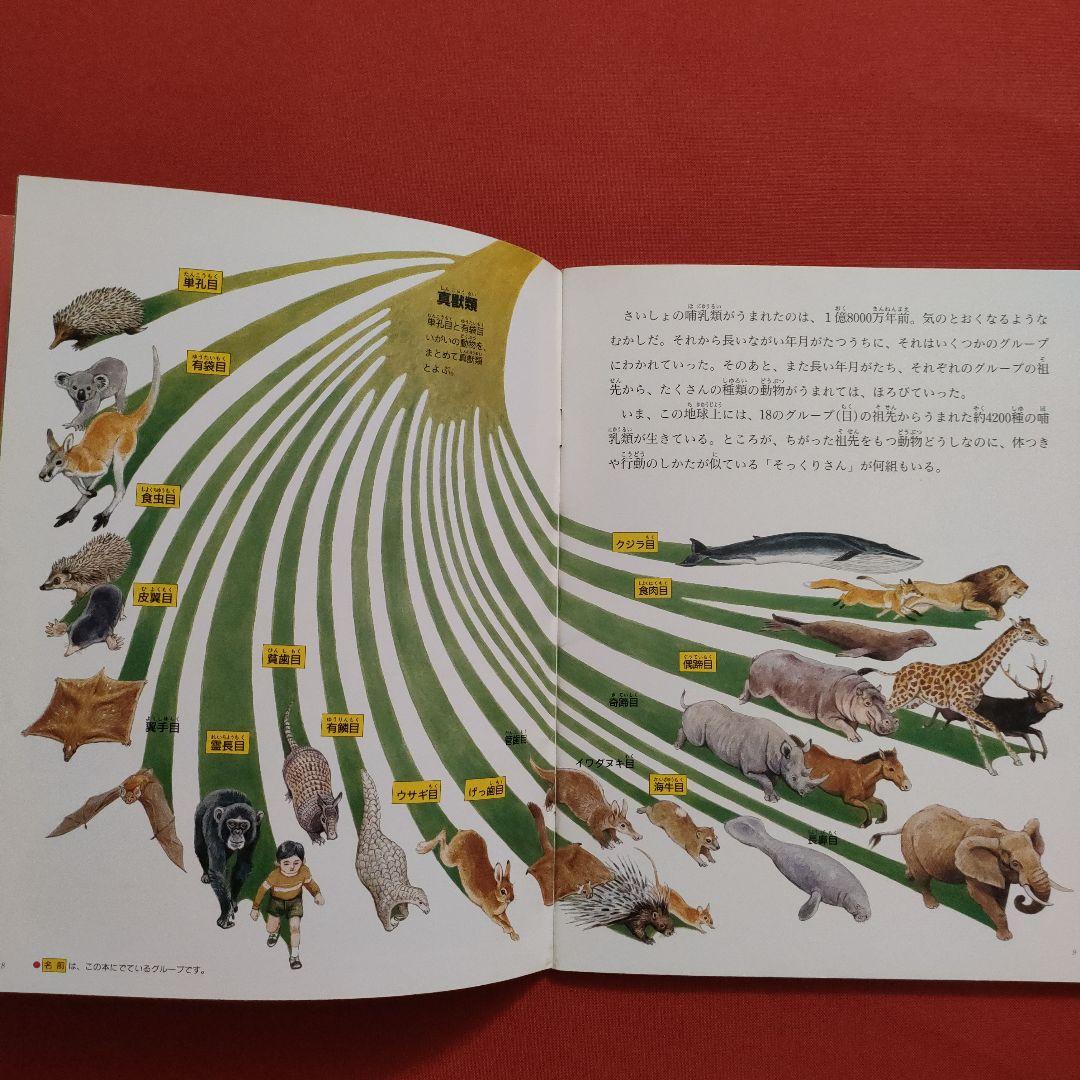 たくさんのふしぎ　キンダーブックしぜん　似たもの動物園　いきものくらべっこ