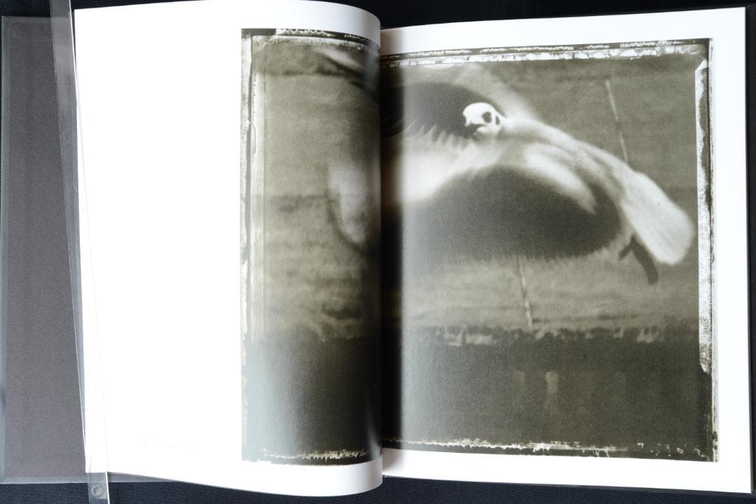 【Sarah moon：Alchimie】サラ ・ムーン