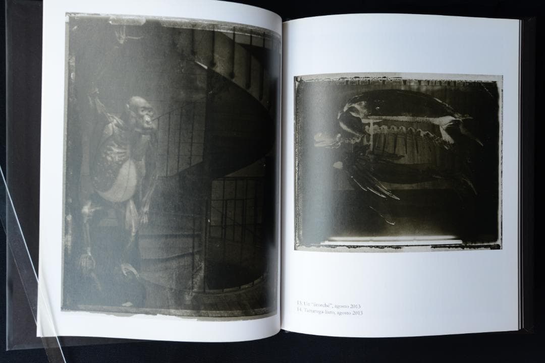 【Sarah moon：Alchimie】サラ ・ムーン