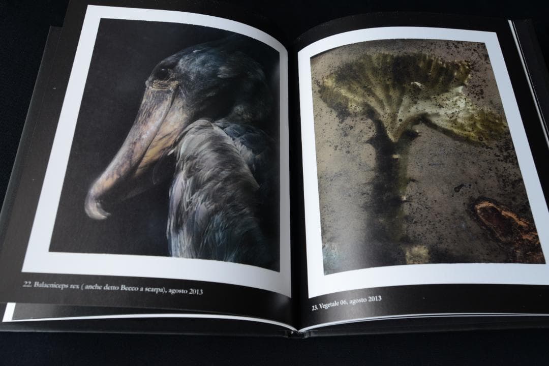 【Sarah moon：Alchimie】サラ ・ムーン