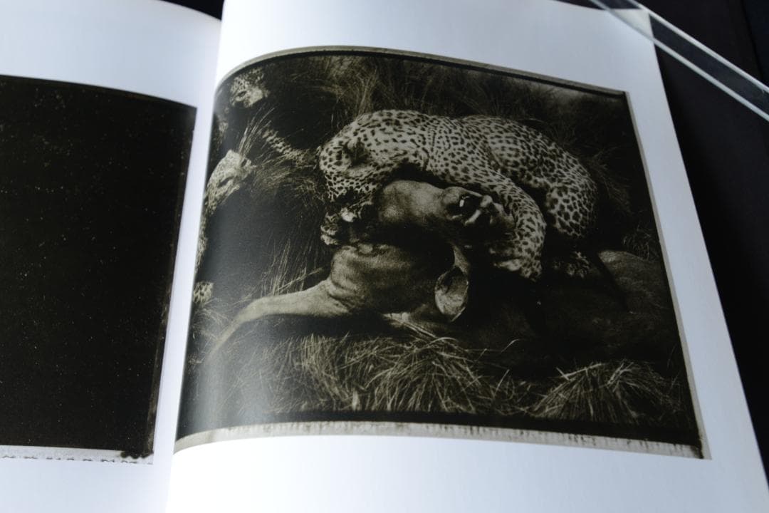 【Sarah moon：Alchimie】サラ ・ムーン