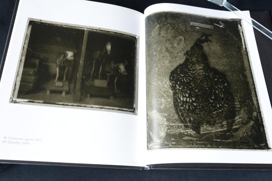 【Sarah moon：Alchimie】サラ ・ムーン