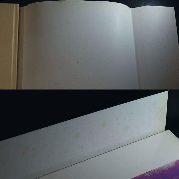 マルク・シャガール作品集 リトグラフ他 画集