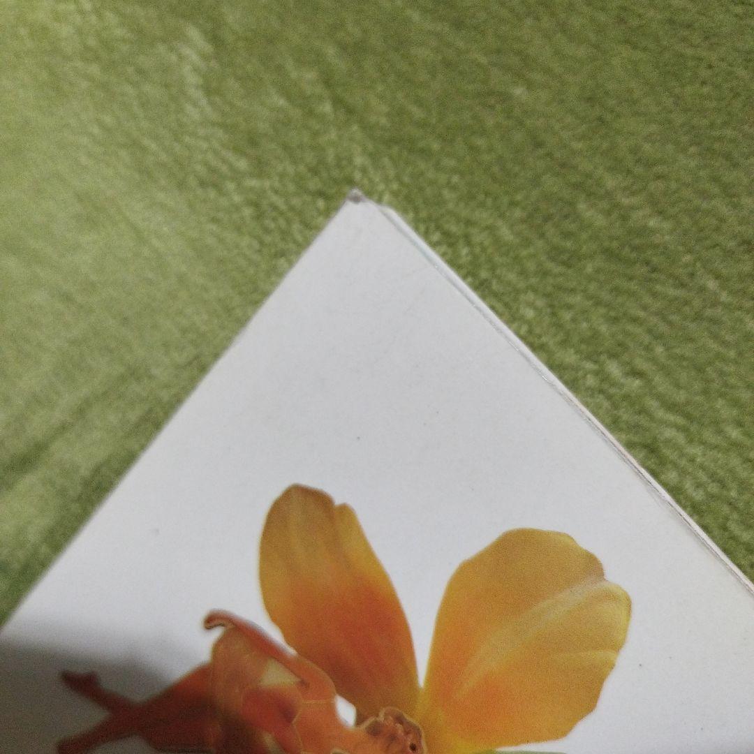 スウィート・ヤーン物語　日本ヴォーグ社