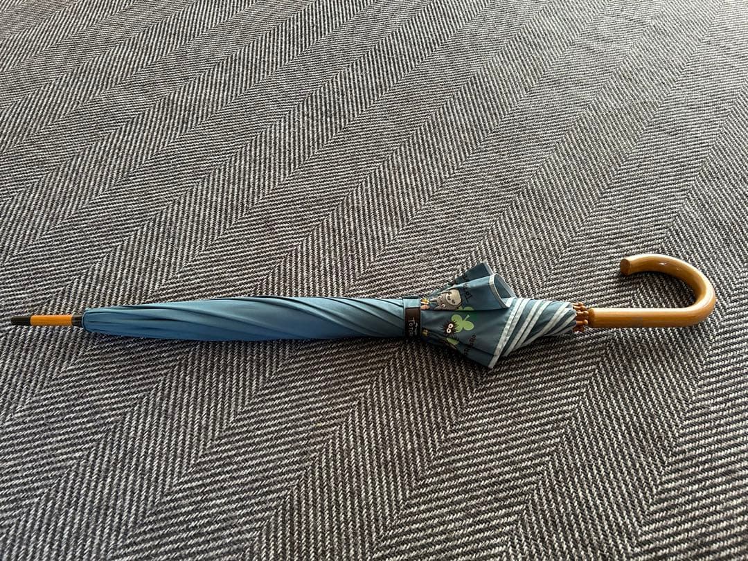 ひろみ　となりのトトロ　長傘
