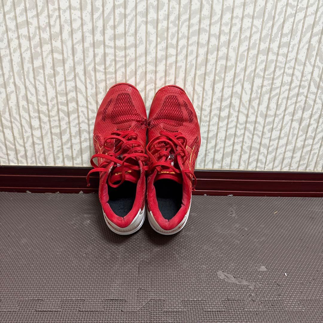 Mizuno バレーボールシューズ関田誠大選手モデル (おまけ付き)(26cm)