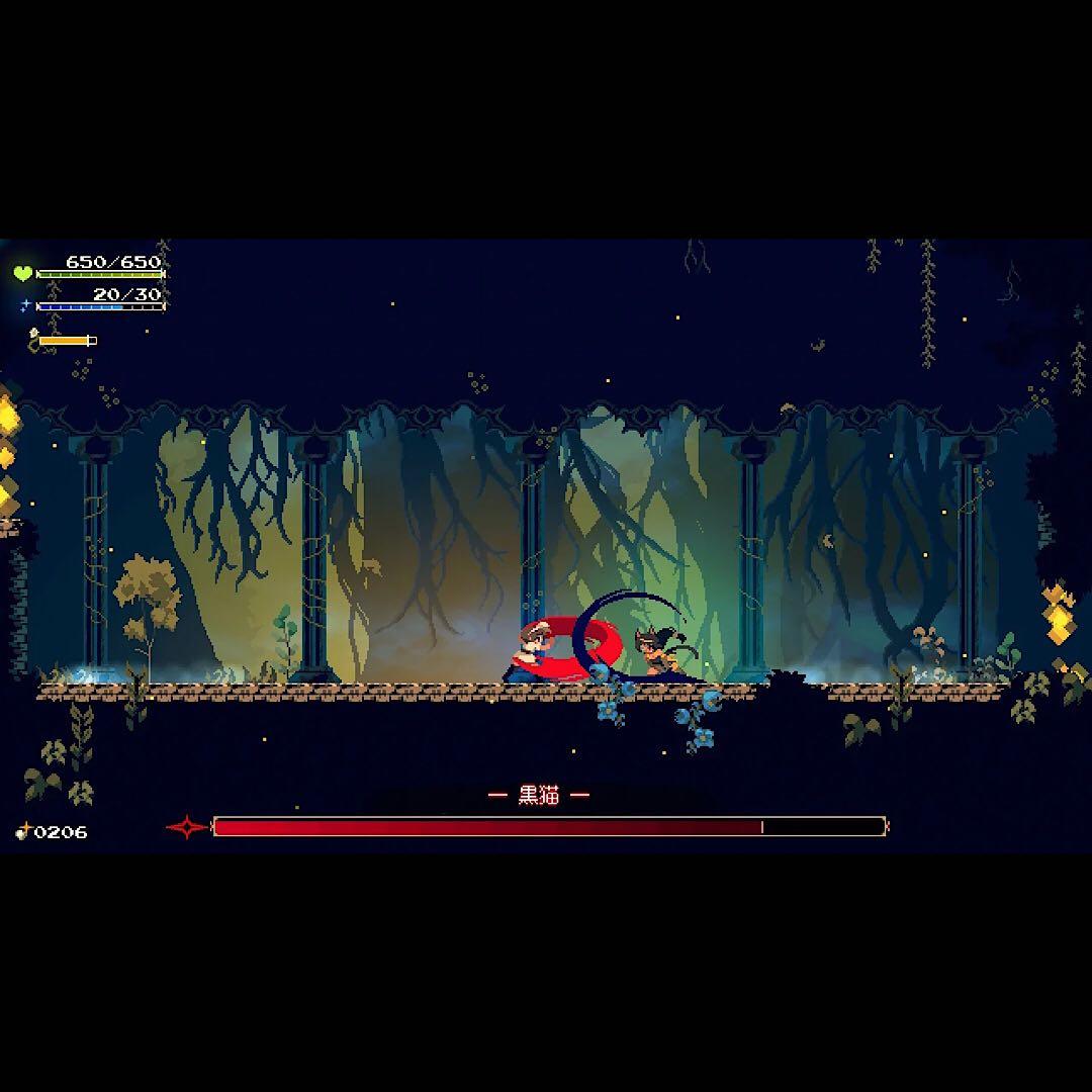 Momodora 月影のエンドロール コレクターズエディション switch