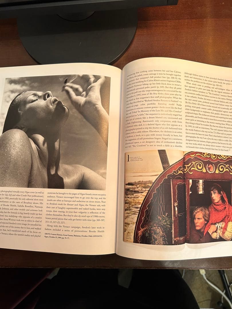Avedon Fashion 洋書　写真集　vogue 服飾　装苑　アート 歴史