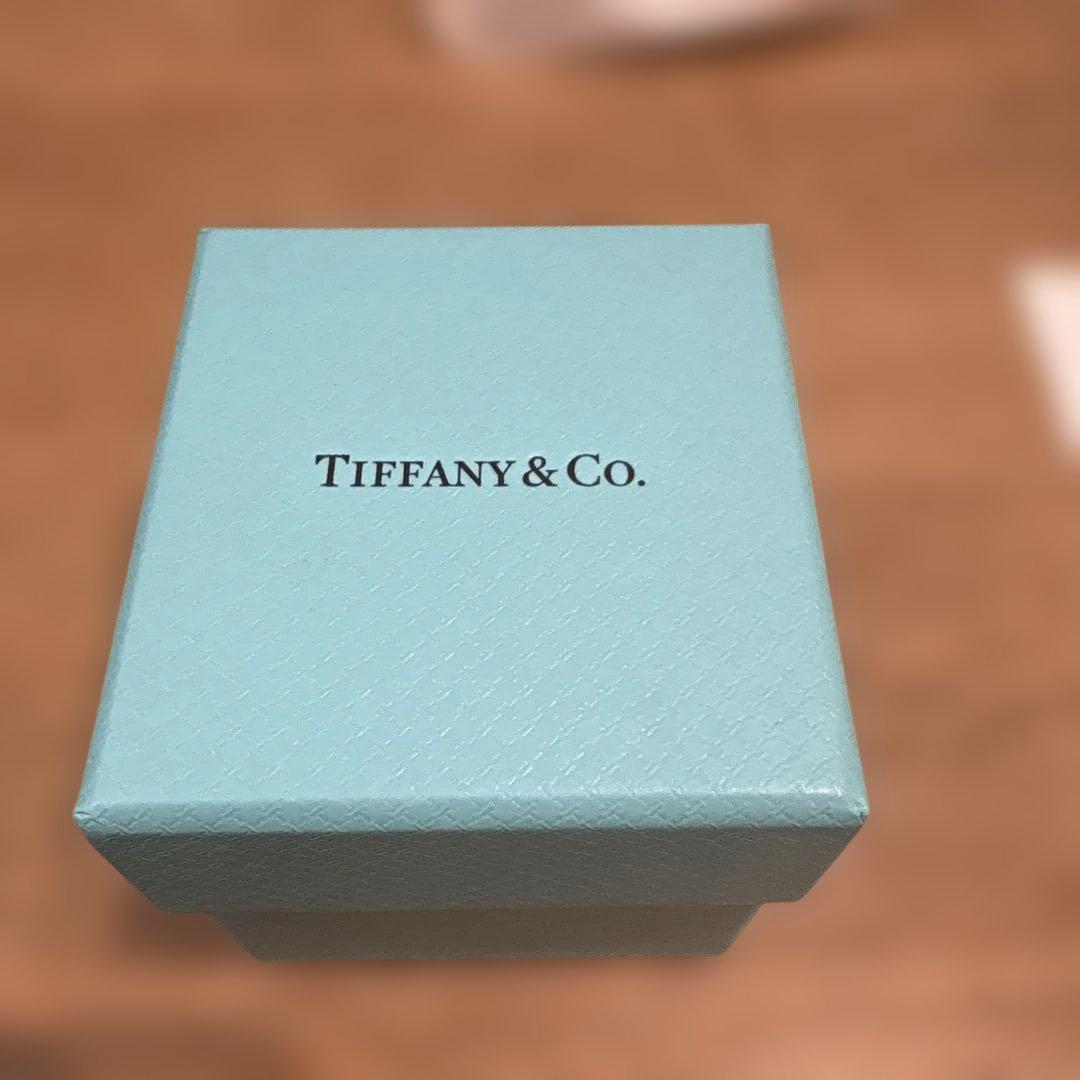 Tiffany & Co. ジュエリーケース　未使用　リボン付