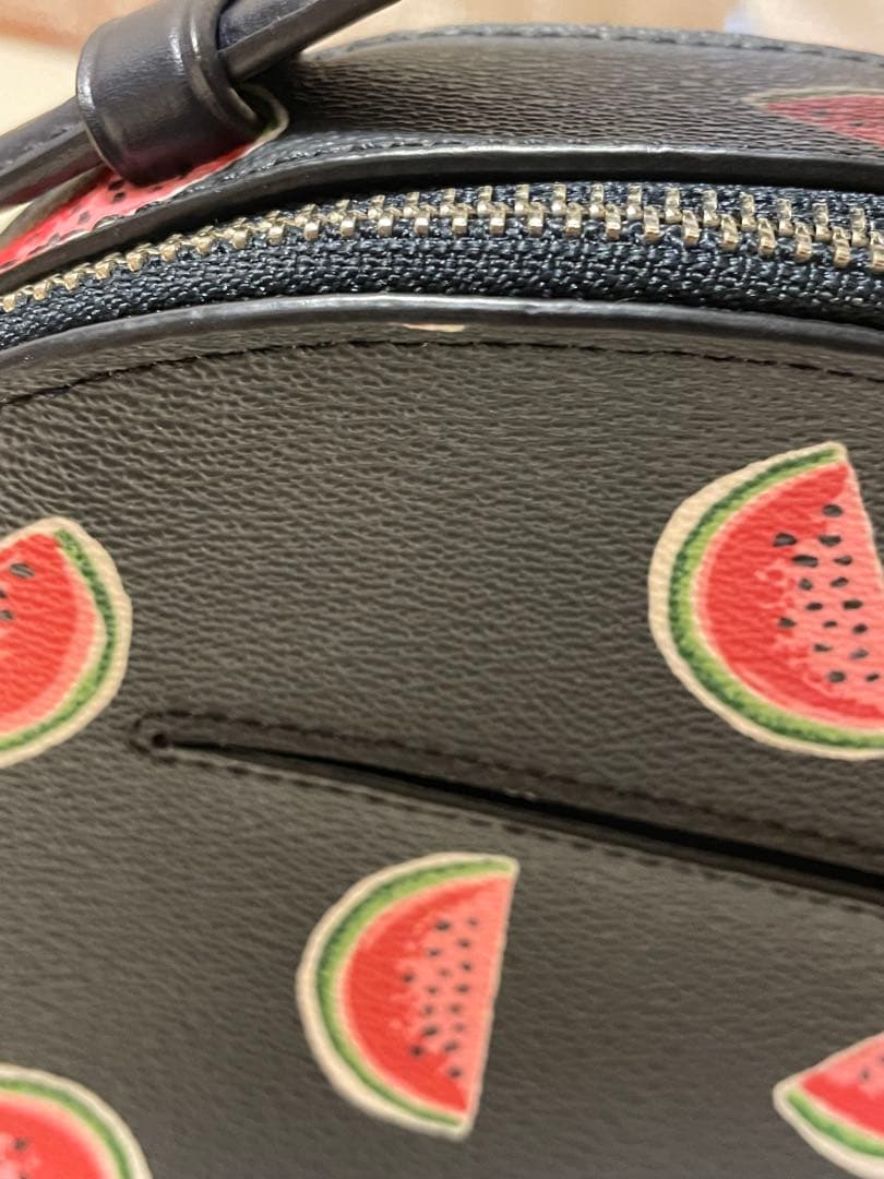 【週末限定】COACH スイカ柄 レザーバッグ