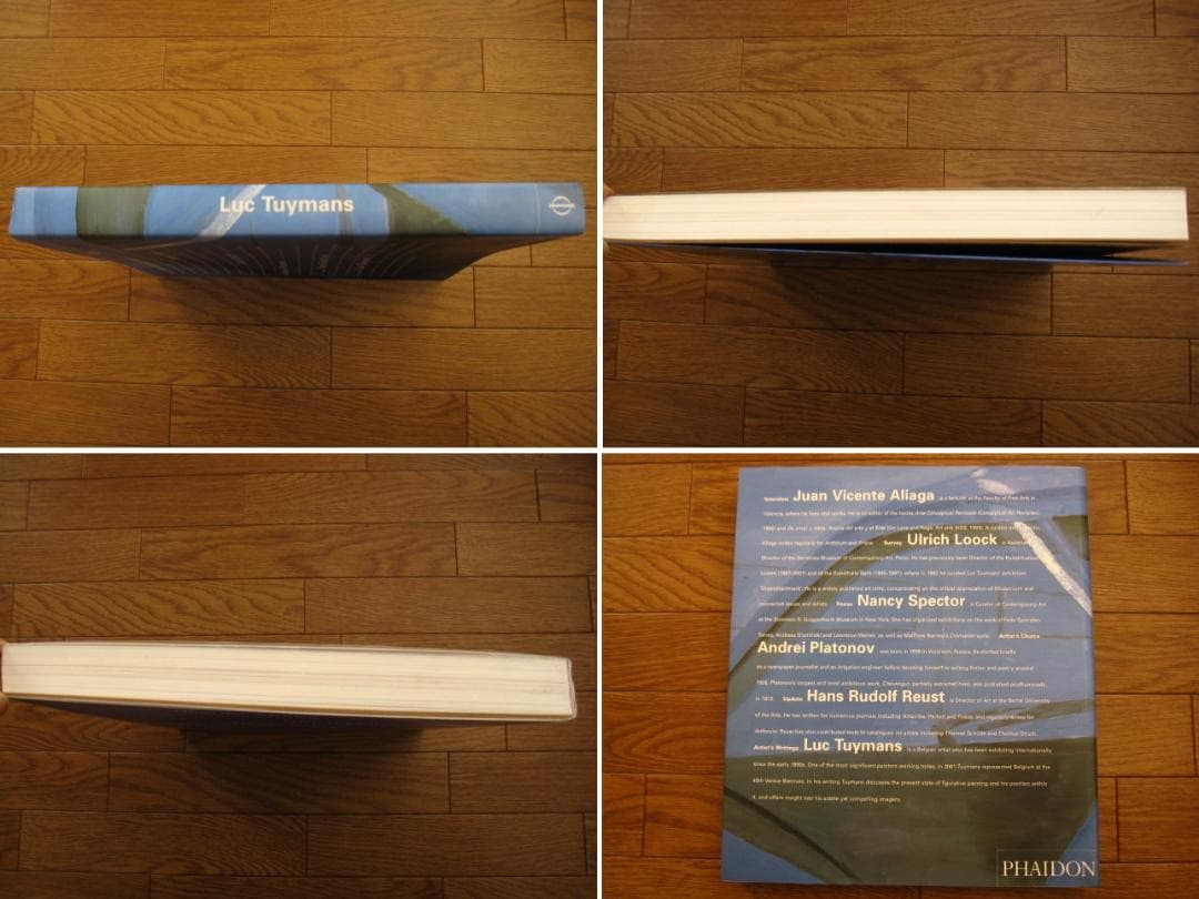 Luc Tuymans　リュック・タイマンス