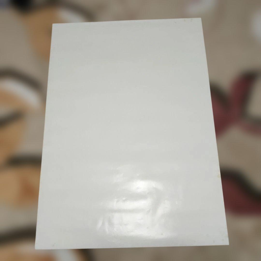 バーチャファイター3 バトル甲子園 ポスター SEGA セガ 鈴木裕