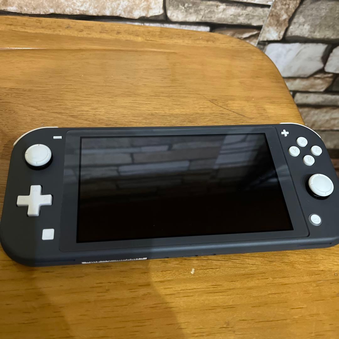 動作OK】Switch Liteグレー＆スーパーマリオブラザーズワンダー セット