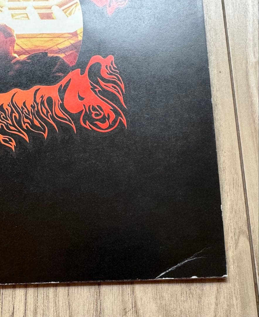 【限定盤】ブッダブランド／病める無限のブッダの世界　ベスト盤　LPサイズジャケ