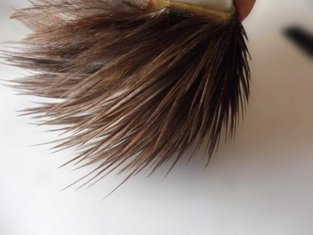 メッツ METZコックハックルケープ #2 DARK DUN