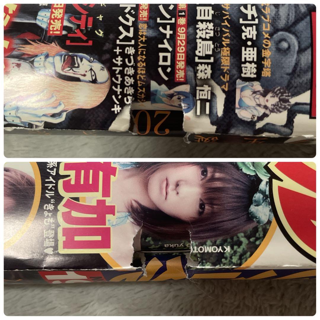 ヤングアニマル 2009年19号 ベルセルク 生誕20年祭号 付録