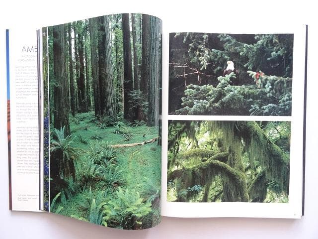 洋書◆アメリカ写真集 本 風景 景色 自然