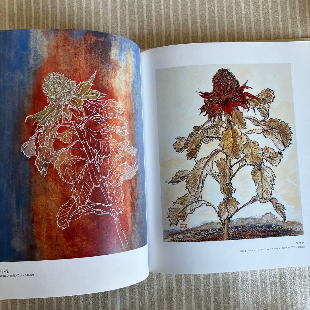 五木玲子画集　天の花　地の花