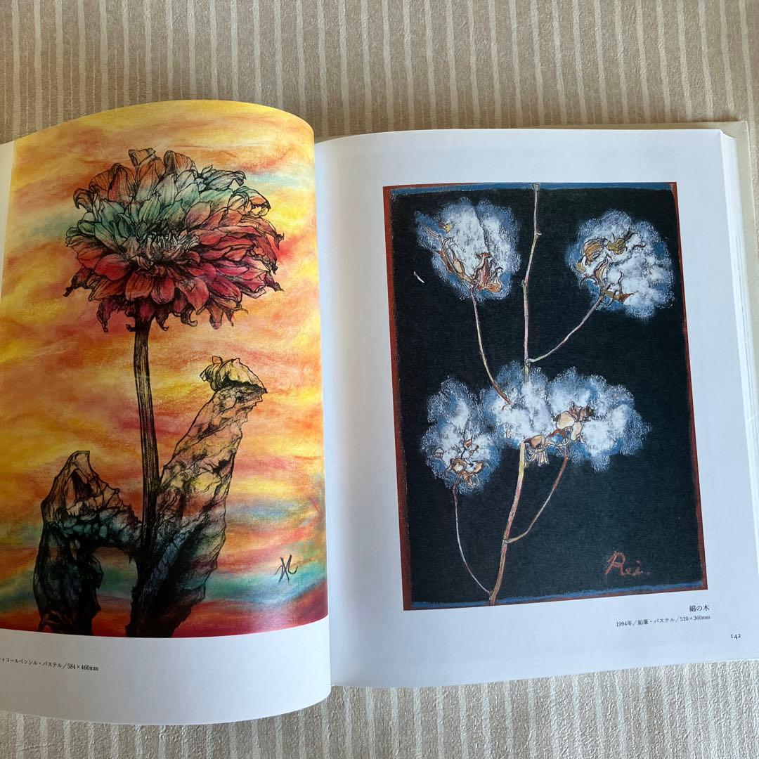 五木玲子画集　天の花　地の花