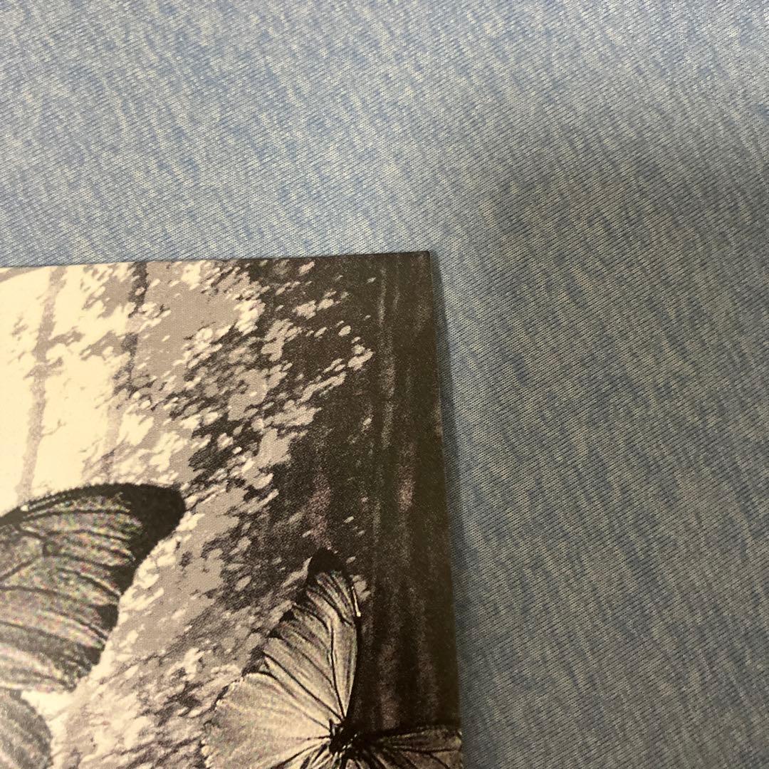 毛皮のマリーズ Gloomy LP レコード 新品未使用品