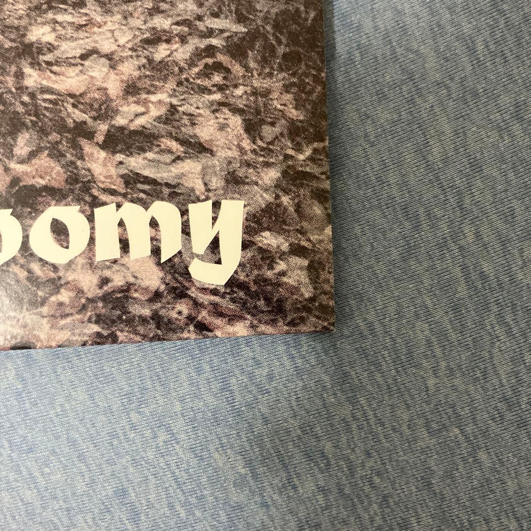 毛皮のマリーズ Gloomy LP レコード 新品未使用品