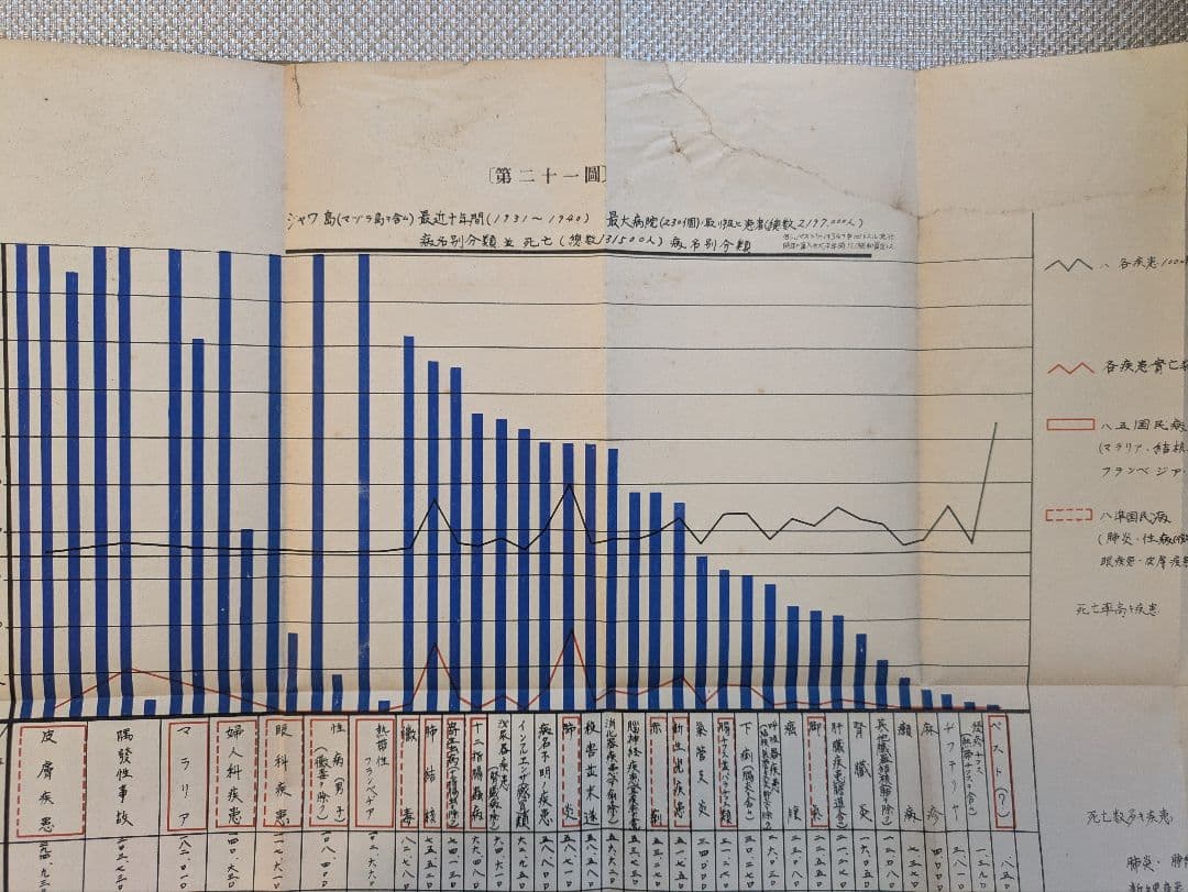 東印度諸島ノ疾病　山口頼夫　ジャカルタ陸軍病院　非売品