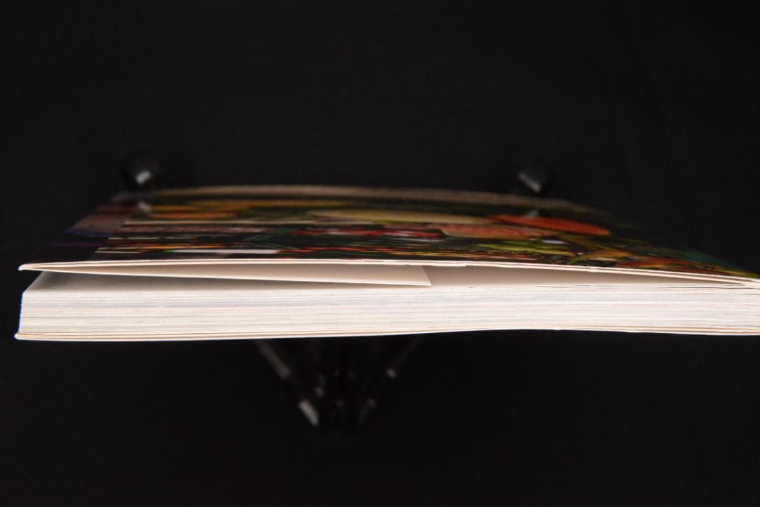 【 Wolfgang Tillmans】新品未読品　 ★★大幅に値下げしました