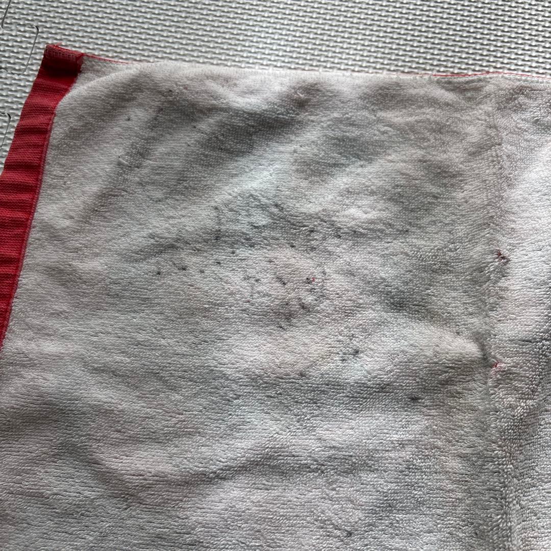 C&K サイン入りCDセット　タオル