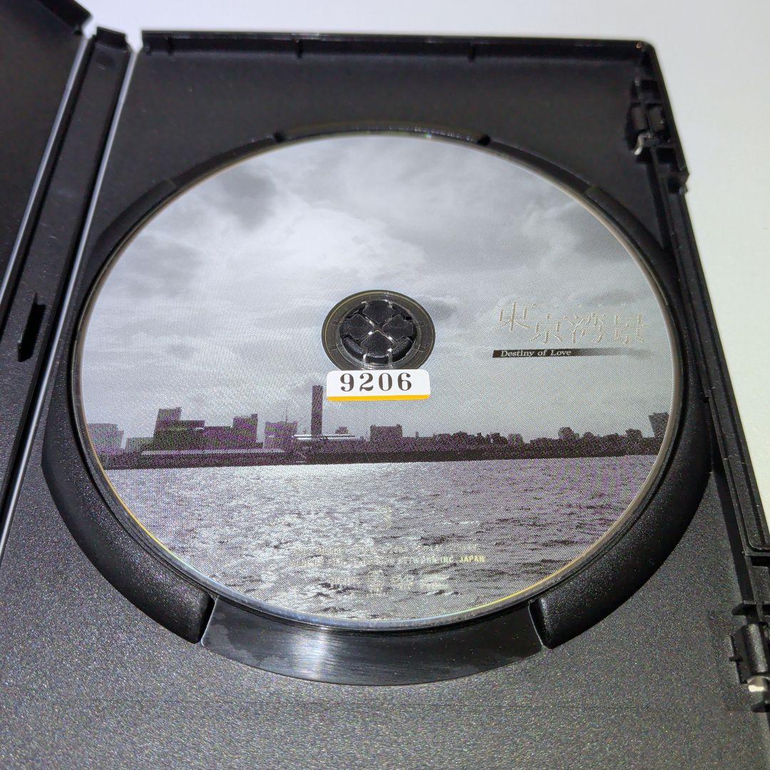 東京湾景　DVD　全巻セット　仲間由紀恵