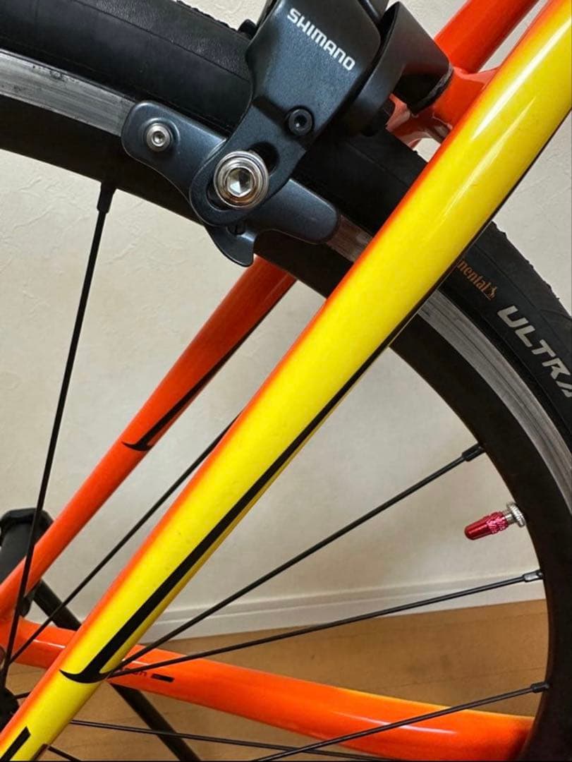 ポール【極美品】SPECIALIZED ターマック TARMAC SL4