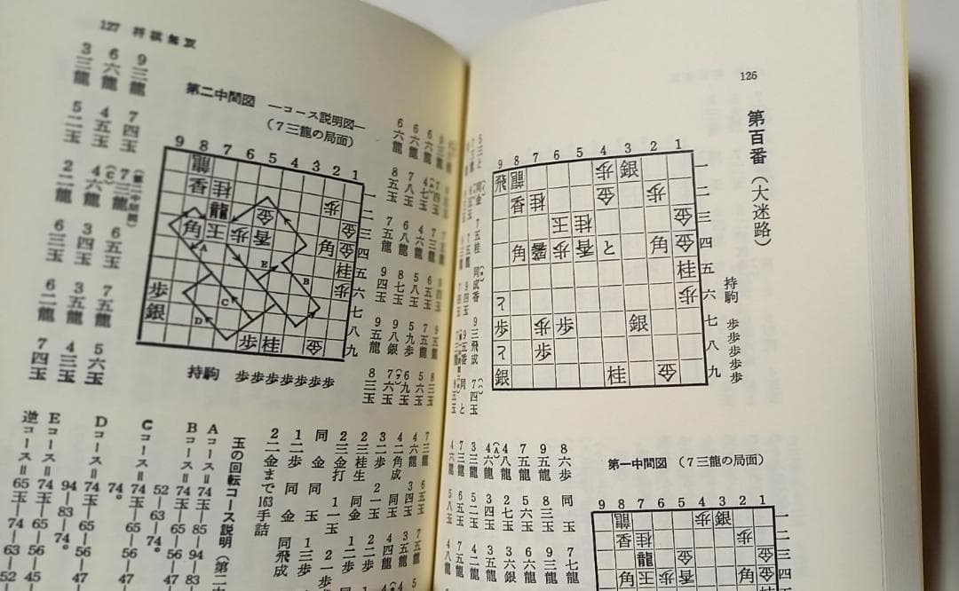 ★ワイド版『詰むや詰まざるや』『続詰むや詰まざるや』　2004年　平凡社　将棋