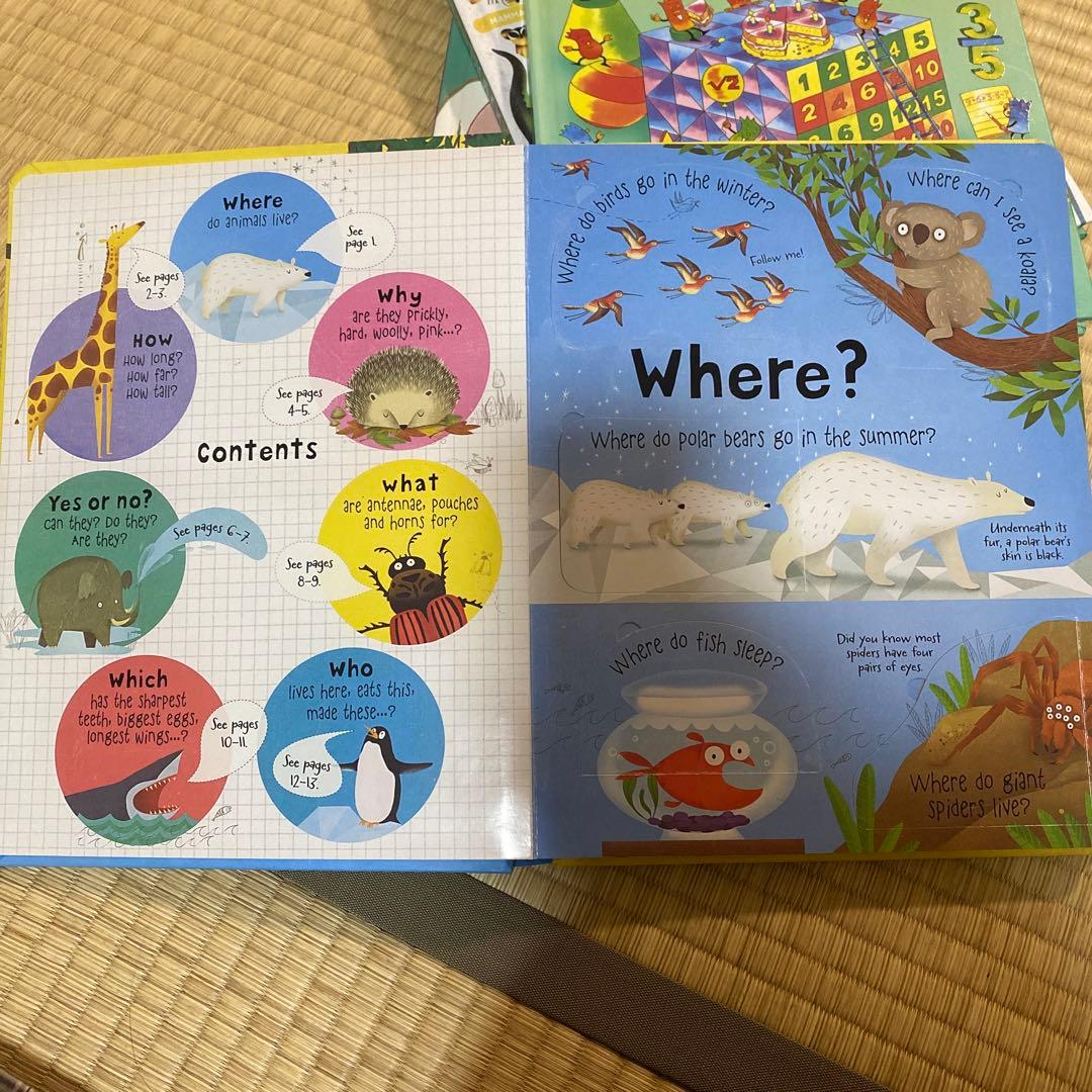 英語絵本Usborne フラップ絵本セット 6冊