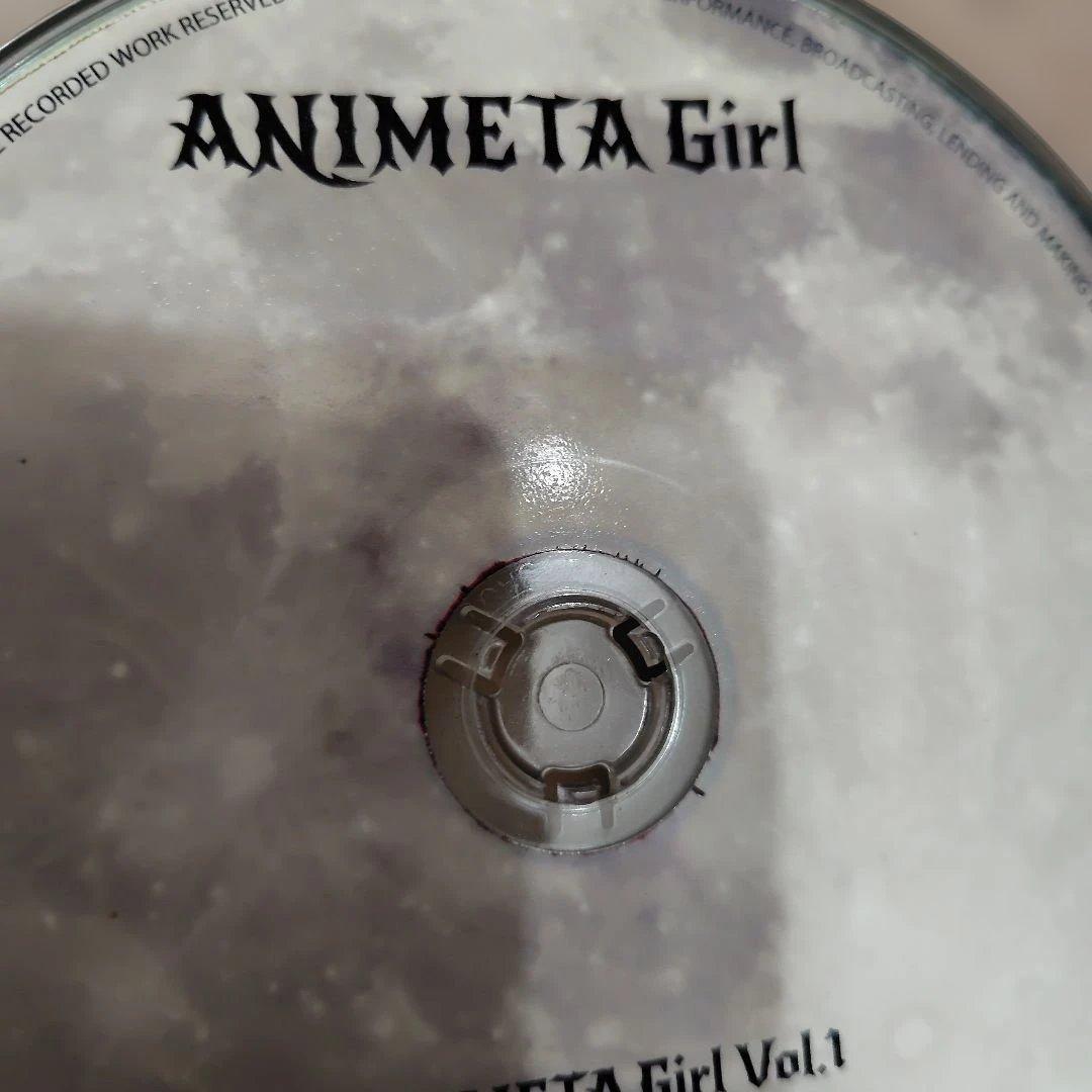 ANI Girl Vol.1 同人 アニメ メタル Mina隊長