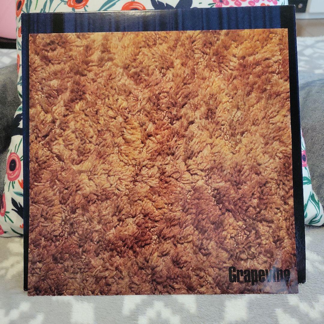 GRAPEVINE グレイプバイン LIFETIME アナログ レコード