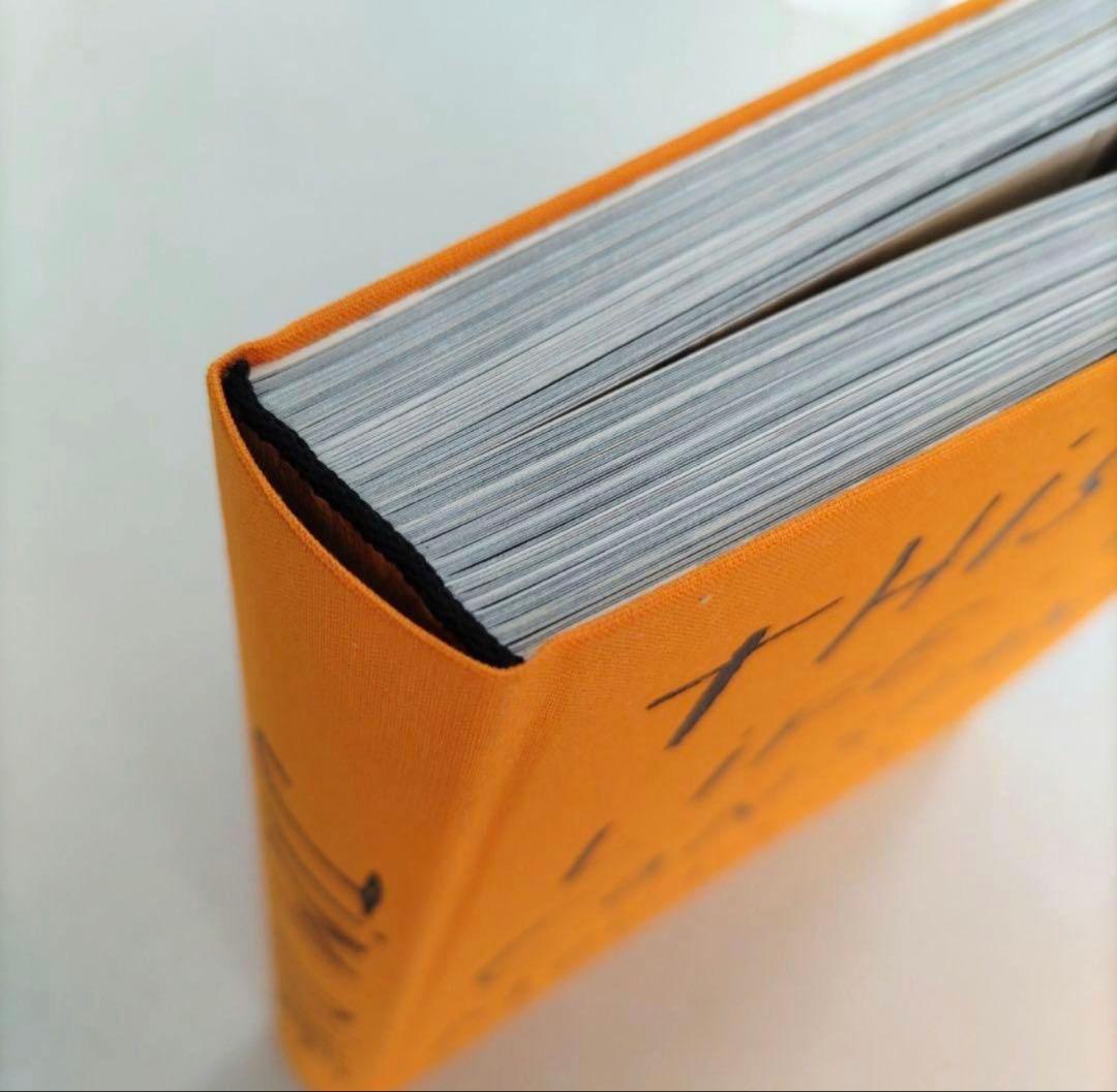 JIM DINE ジム・ダイン /作品集 ポップアート 洋書