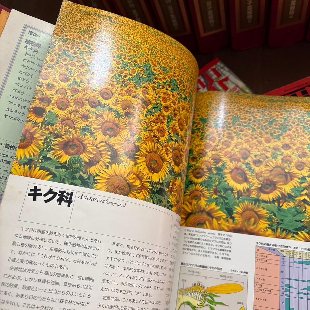 週刊朝日百科　植物の世界 全145冊セット別冊きのこの世界5冊