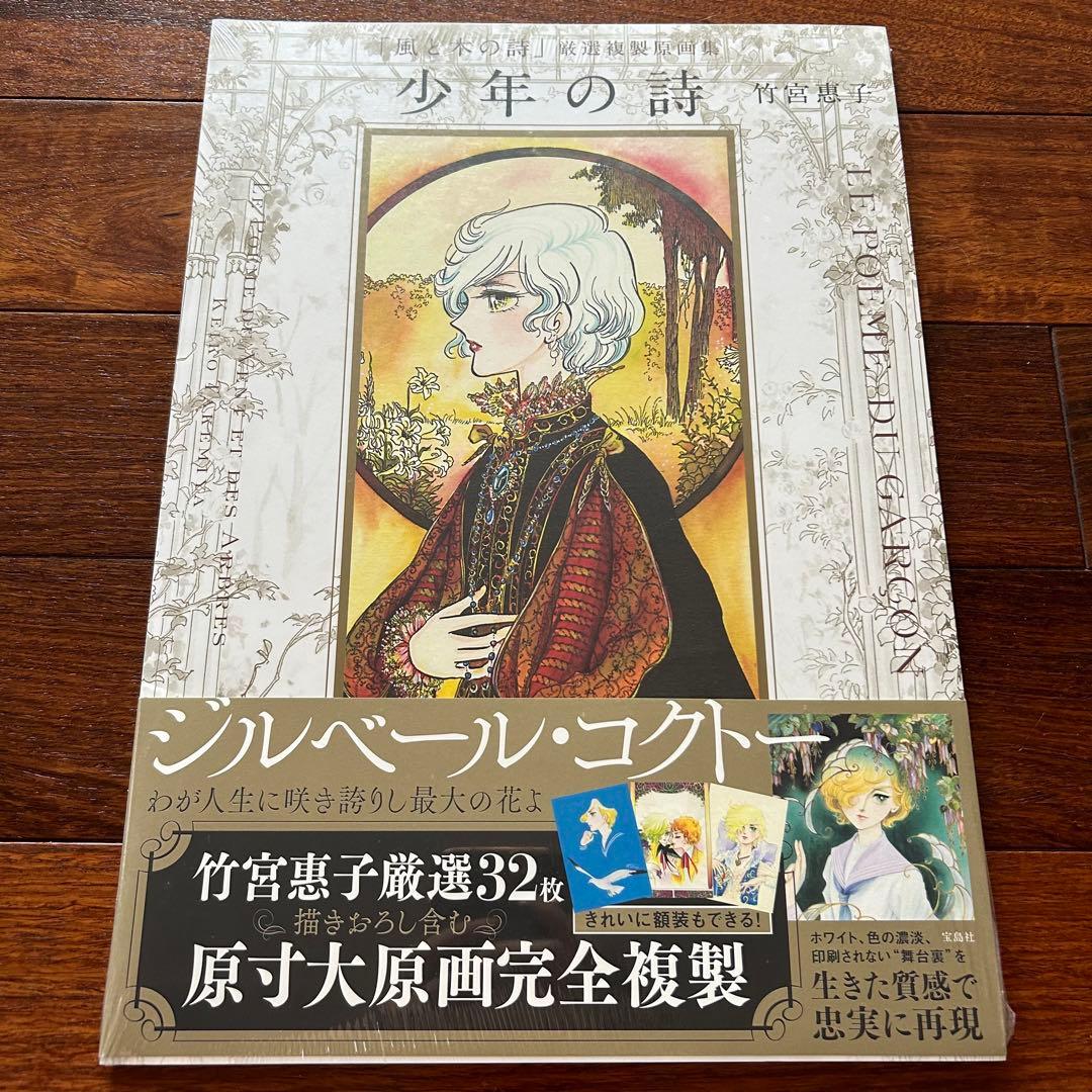 匿名☆竹宮惠子☆少年の詩☆未開封☆大判画集