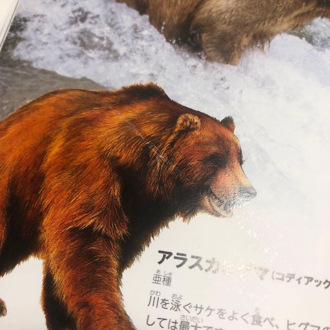 講談社の動く図鑑ＭＯＶＥ　WONDER MOVE　まとめ　19冊　全てDVD付き