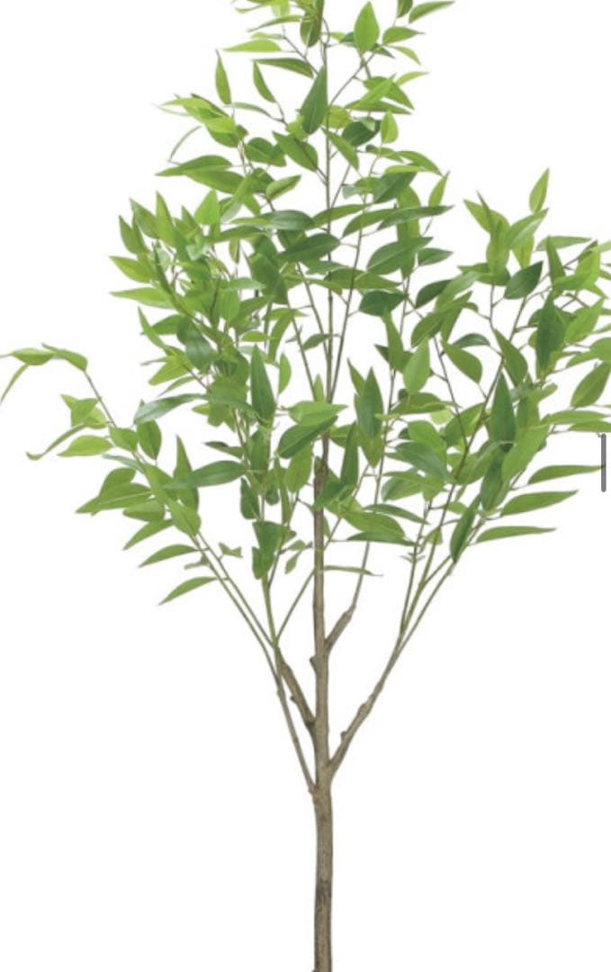 光触媒　人工観葉植物　フェイクグリーン　フレッシュ細葉ユーカリ1.7m